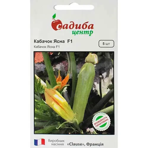 Кабачок Ясна Ф1 5 шт
