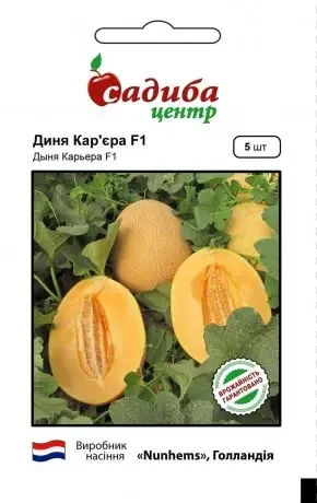 Диня Кар'єра Ф1 5 шт