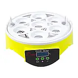 Інкубатор HHD 7 яєць (220v) (9), фото 6