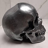Декоративний череп з гіпсу - Silver skull, фото 2
