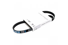 Ремінь генератора (з кондиціонером) Renault Kangoo II 1.5dCi 2008-6PK1195 DONGIL (Корея)