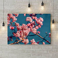 Картина на холсте на стену для интерьера дома Розовые краски весны, 50х35 см