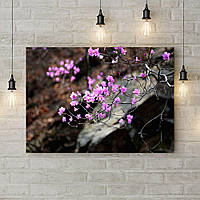 Картина на холсті на стіну для інтер'єру будинка Гілочка з рожевими квітами, 50х35 см