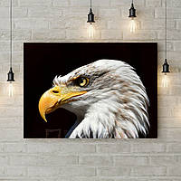 Картина на полотні на стіну для інтер'єру будинок Погляд молодого орла 50х35 см