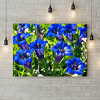 Фотокартина на холсте красивая для декора спальни Синие цветы 60х40 см
