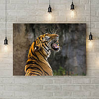 Картина на холсте декоративная для декора комнаты Тигр скалит зубы, 60х40 см
