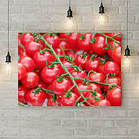 Картина на холсте декоративная для декора комнаты Ветви помидоров,60х40 см