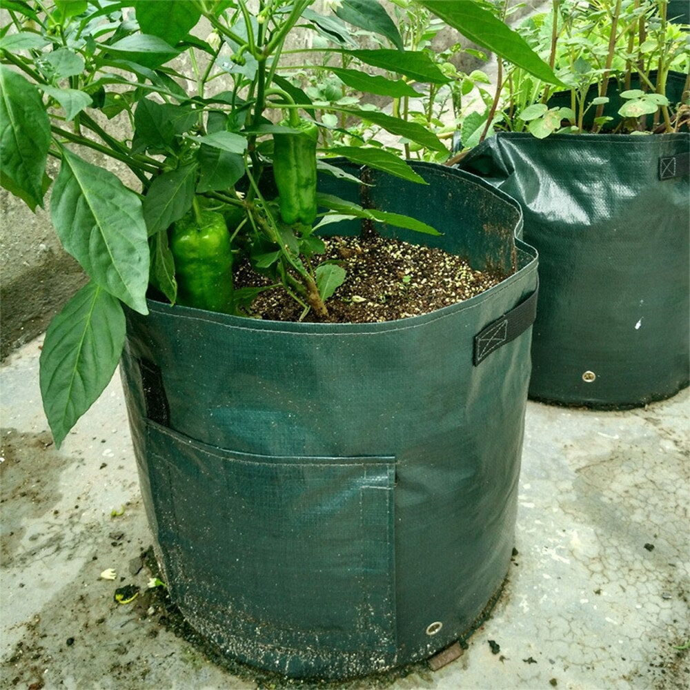 Мешок для рассады/растений Зеленый, плантатор для выращивания овощей, картошки и помидоров 43х33см (TO) - фото 2 - id-p1619310097