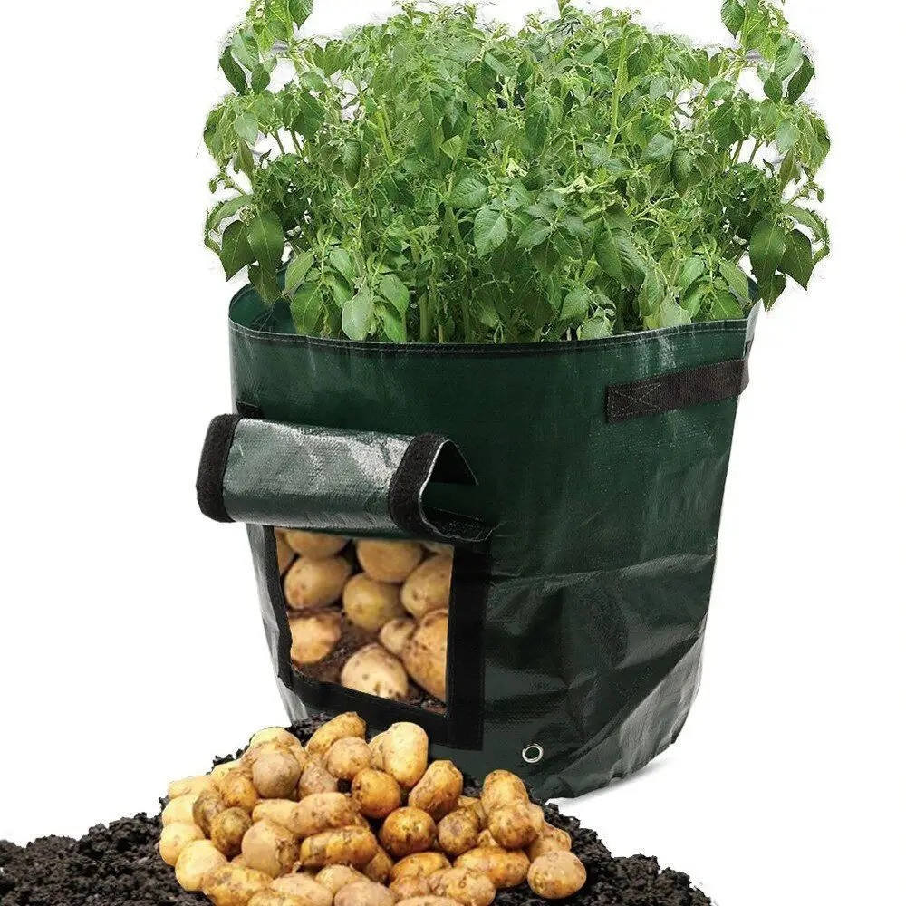 Мешок для рассады/растений Зеленый, плантатор для выращивания овощей, картошки и помидоров 43х33см (TS) - фото 7 - id-p1619304655