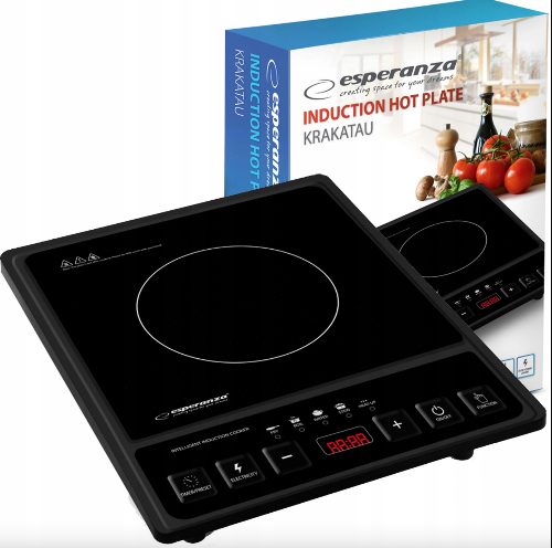 Індукційна плита Esperanza EKH 005