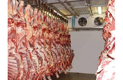 Холодильне обладнання для зберігання напівтуш.