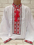 Підліткова сорочка вишиванка "Лавр", поплін, зріст  146-152 см, фото 2