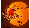 Проекційний світильник Sunset Lamp USB з ефектом заходу, світанку Q07, фото 7