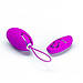 Vibroyaico з пультом дистанційного керування Pretty Love-Jacqueline, BI-014362W-13, фото 2