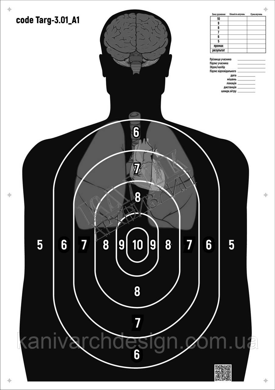 Мішень для стрільби Силует анатомічний з кругами, targ-3.01, формат А1, розмір 594х841мм, фото 1