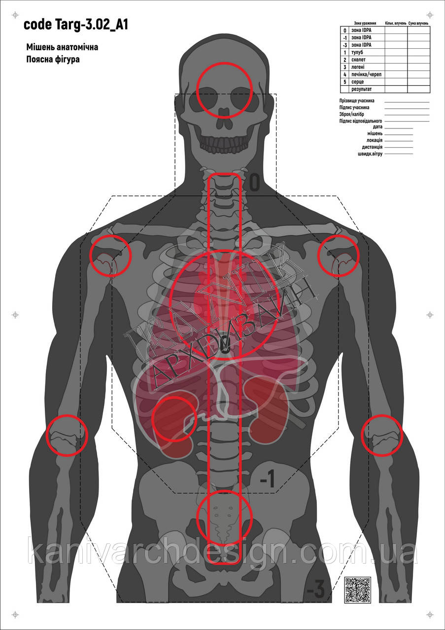 Мішень для стрільби Силует анатомічний з зонами, targ-3.02, формат А1, розмір 594х841мм, фото 1