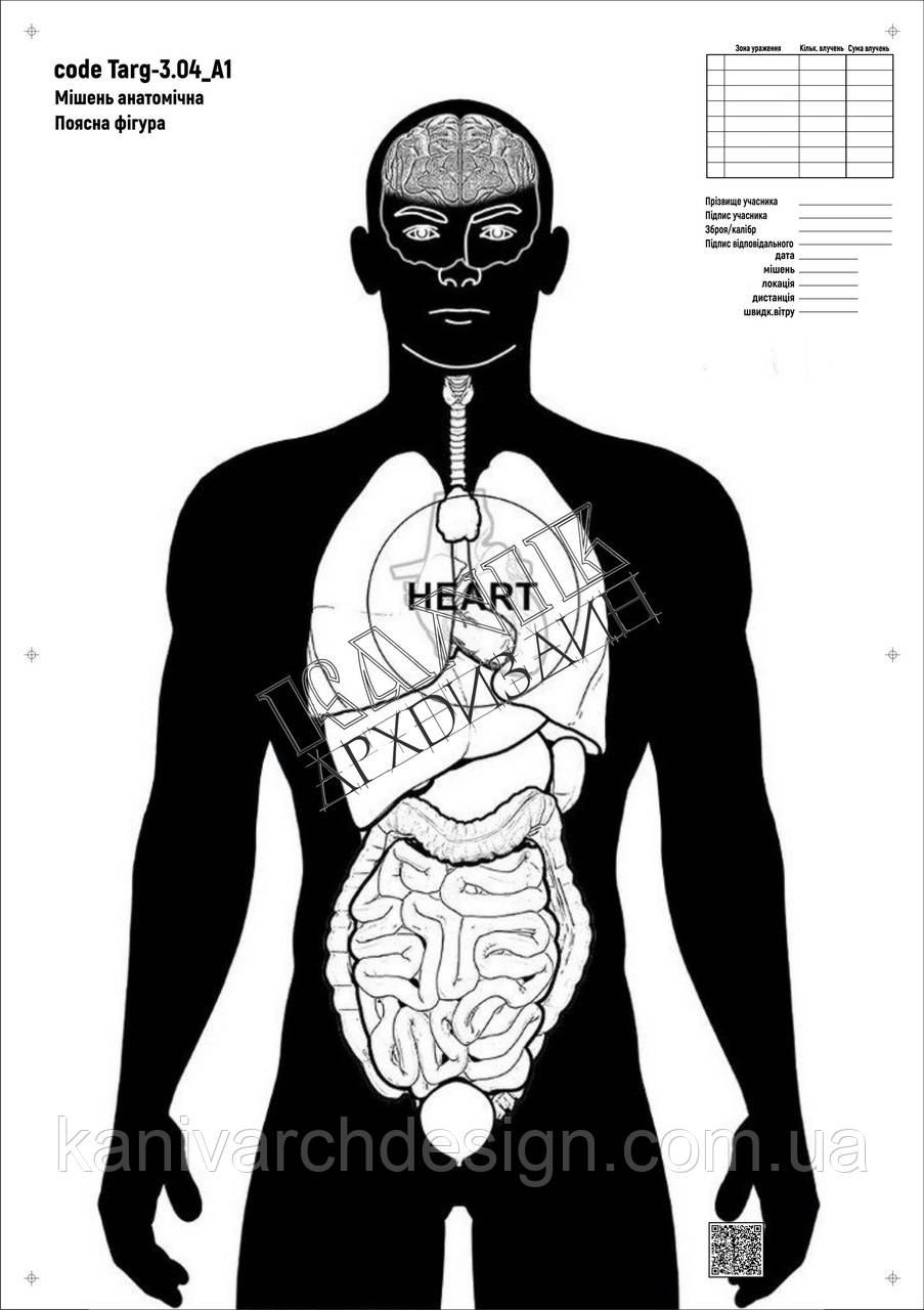 Мішень для стрільби Силует анатомічний з органами, targ-3.04, формат А1, розмір 594х841мм, фото 1