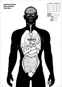 Мішень для стрільби Силует анатомічний з органами, targ-3.04, формат А1, розмір 594х841мм