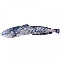 Подушка-риба Gaby Сом 72х12см (3KB2104)