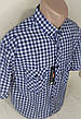 Чоловіча сорочка з коротким рукавом Brossard vk-0100 блакитна в клітку класична бавовна, теніска чоловіча, фото 8