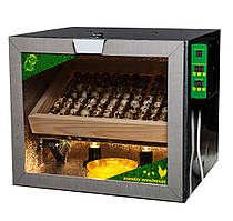 Інкубатор автопереворотний з ламповим нагрівом, ціна