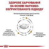 Корм сухий Royal Canin для собак при захворваннях нижніх сечовивідних шляхів URINARY S/O 2 kg, фото 4