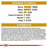 Корм сухий Royal Canin для собак при захворваннях нижніх сечовивідних шляхів URINARY S/O 2 kg, фото 8