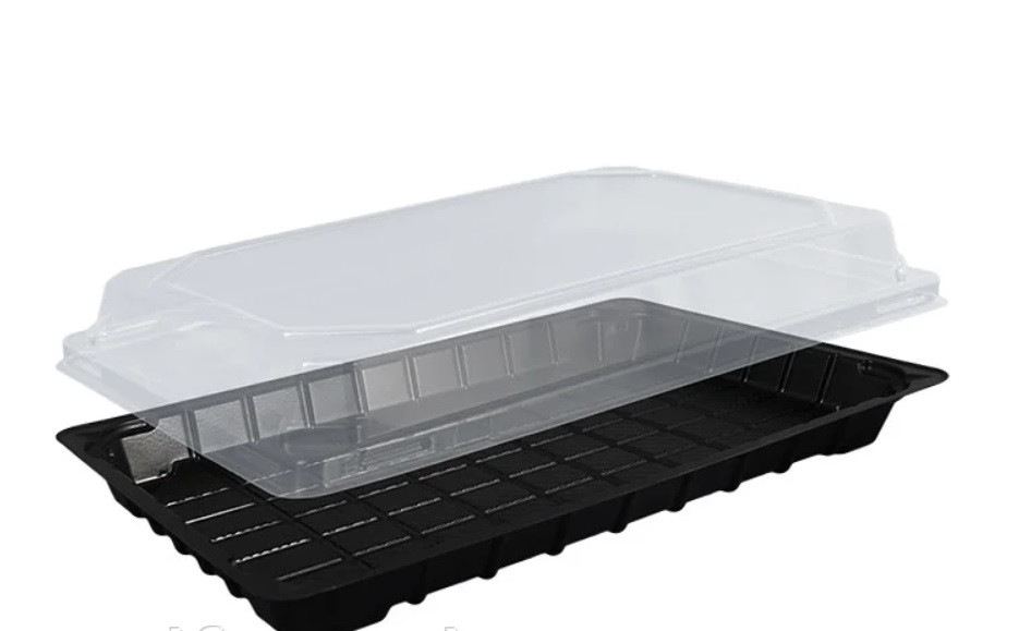 Блістер харчовий, паковання для суші 270*190 мм ПС-61 з кришкою, фото 1