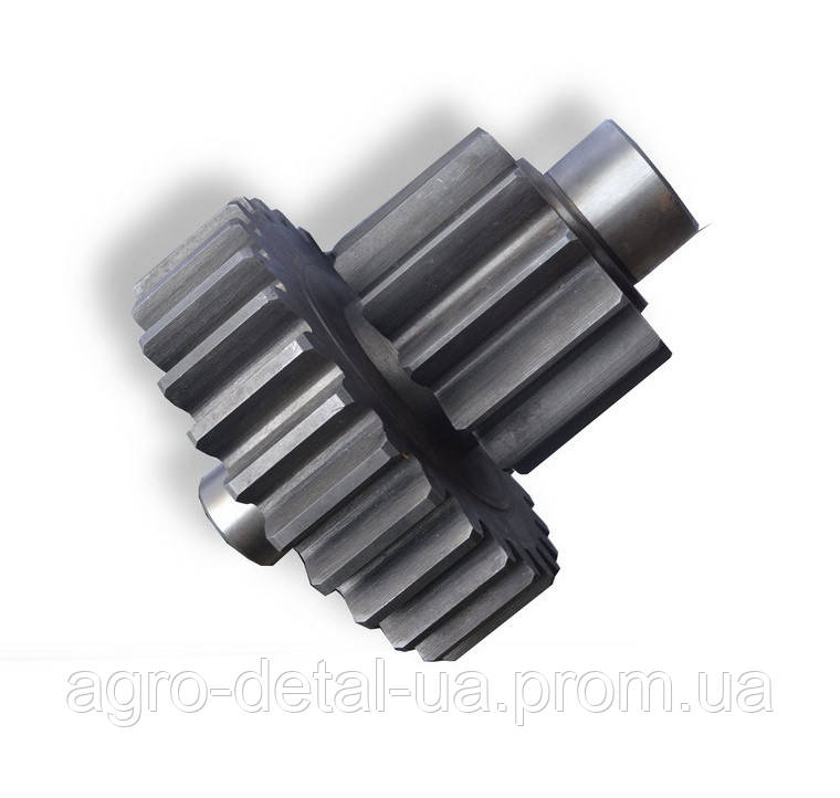Шестерня подвійна 20-19-24, фото 1