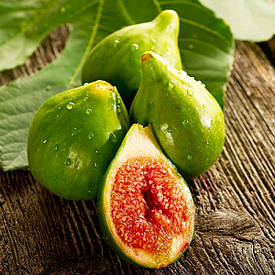 Інжир "Далматський"