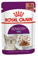 Royal Canin Sensory Feel Gravy (шматочки в соусі) 85г*12шт - паучі для вибагливих котів