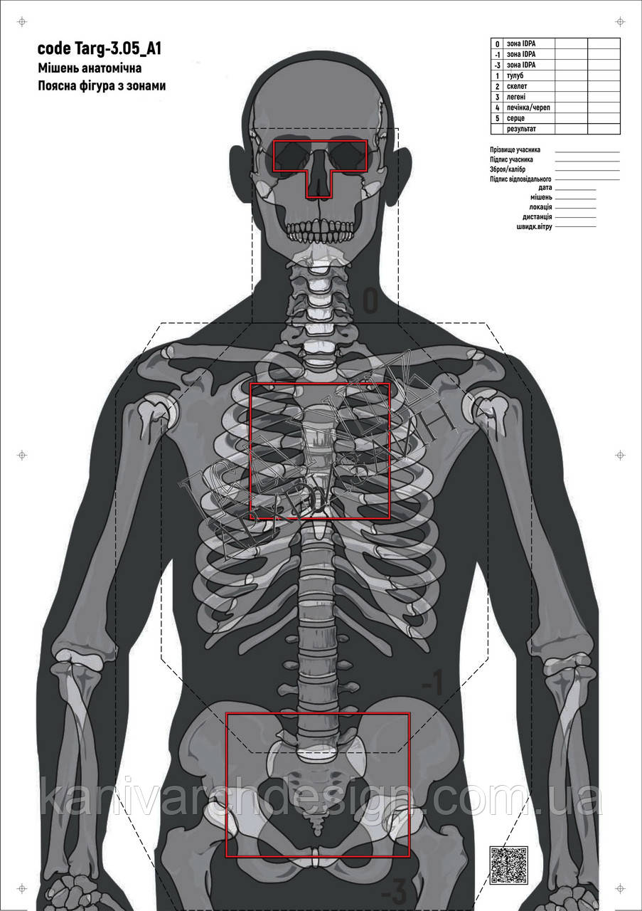 Мішень для стрільби Силует анатомічний з зонами, targ-3.05, формат А1, розмір 594х841мм, фото 1