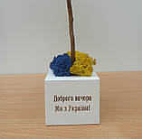 Жовто-блакитне дерево з моху 35 см Патріотичний декор. Патріотичний подарунок, фото 7