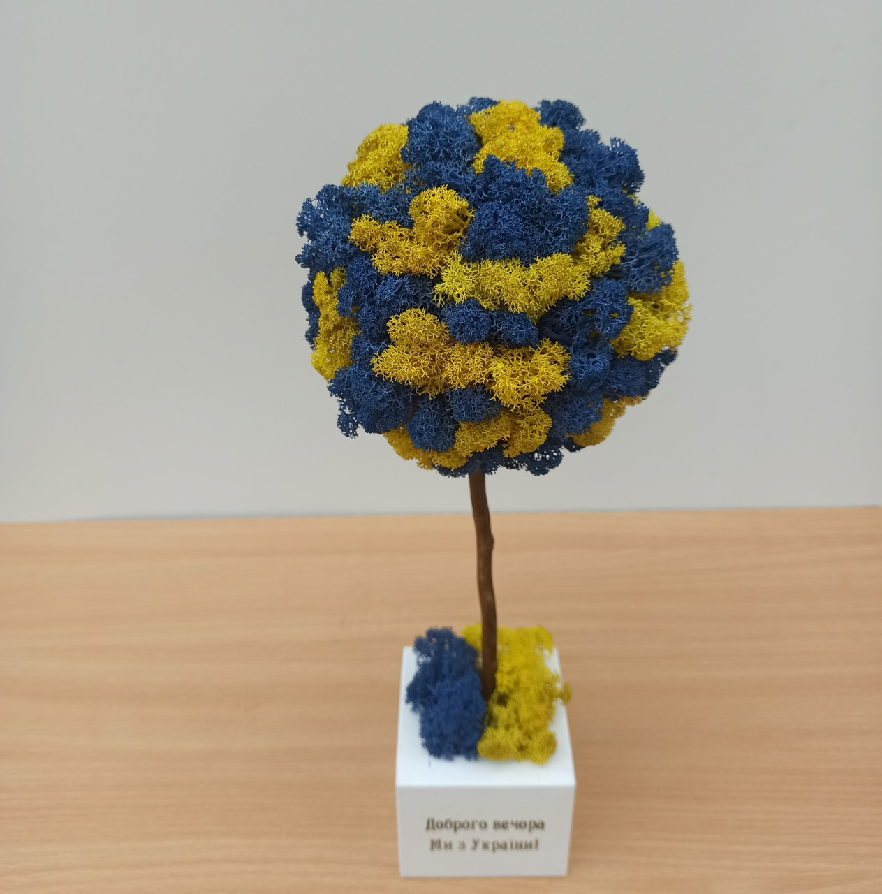 Жовто-блакитне дерево з моху 35 см Патріотичний декор. Патріотичний подарунок, фото 1