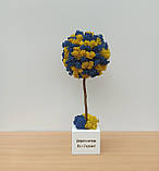 Жовто-блакитне дерево з моху 35 см Патріотичний декор. Патріотичний подарунок, фото 8