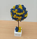 Жовто-блакитне дерево з моху 35 см Патріотичний декор. Патріотичний подарунок, фото 2