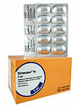 Ветмедин® Чу 5 мг жувальні таблетки №10 для лікування застійної серцевої недостатності. (20-40 кг для собак), фото 2