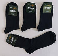 Шкарпетки чоловічі «Житомир Universal» з додаванням льону (12 пар)