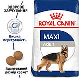 Сухий корм для собак Royal Canin Maxi Adult великих порід старше 15 місяців 15 кг, фото 3