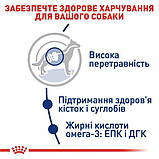 Сухий корм для собак Royal Canin Maxi Adult великих порід старше 15 місяців 15 кг, фото 5