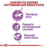 Сухой корм для дорослих стерилізованих кішок Royal Canin Sterilised 4 кг, фото 3