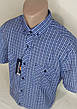 Чоловіча теніска в клітку Brossard vk-0102 блакитна класична бавовна з коротким рукавом, фото 10