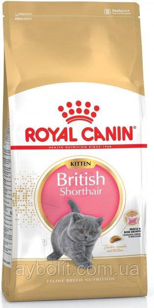 Сухий корм Royal Canin British Shorthair Kitten для кошенят породи британська короткошерста до 12 місяців 2 кг