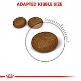 Сухой корм Royal Canin Hair & Skin Care для котов от 1 до 7 лет для заботы о коже и шерсти 2 кг, фото 3