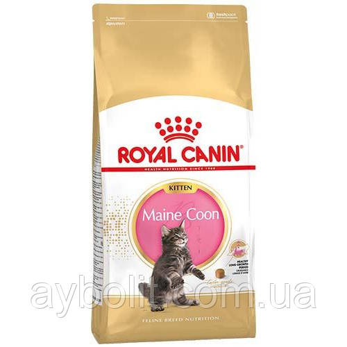 Сухий корм Royal Canin Maine Coon Kitten для кошенят породи мейн-кун до 15 місяців, 2 кг
