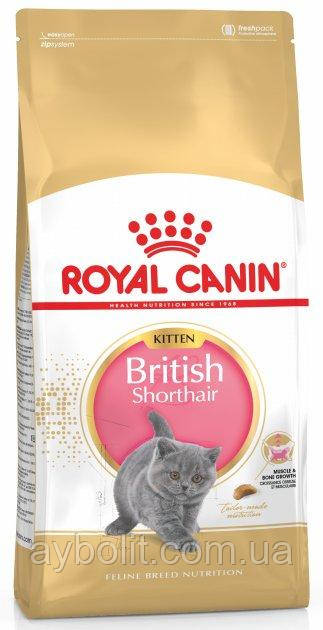 Сухий Корм Royal Canin KITTEN BRITISH SHORTHAIR 0,4 кг