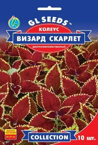 Насіння коліусу Візард Скарлетт Gl Seeds