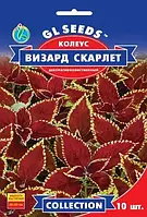 Насіння коліусу Візард Скарлетт Gl Seeds