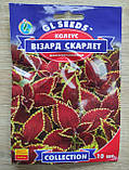 Насіння коліусу Візард Скарлетт Gl Seeds, фото 4