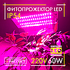 Фітопрожектор світлодіодний Sunlight 60Вт 220В IP54 240x175x50мм (LED 60W повного спектру), фото 6